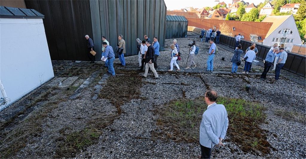 Was macht der Mühlehof?