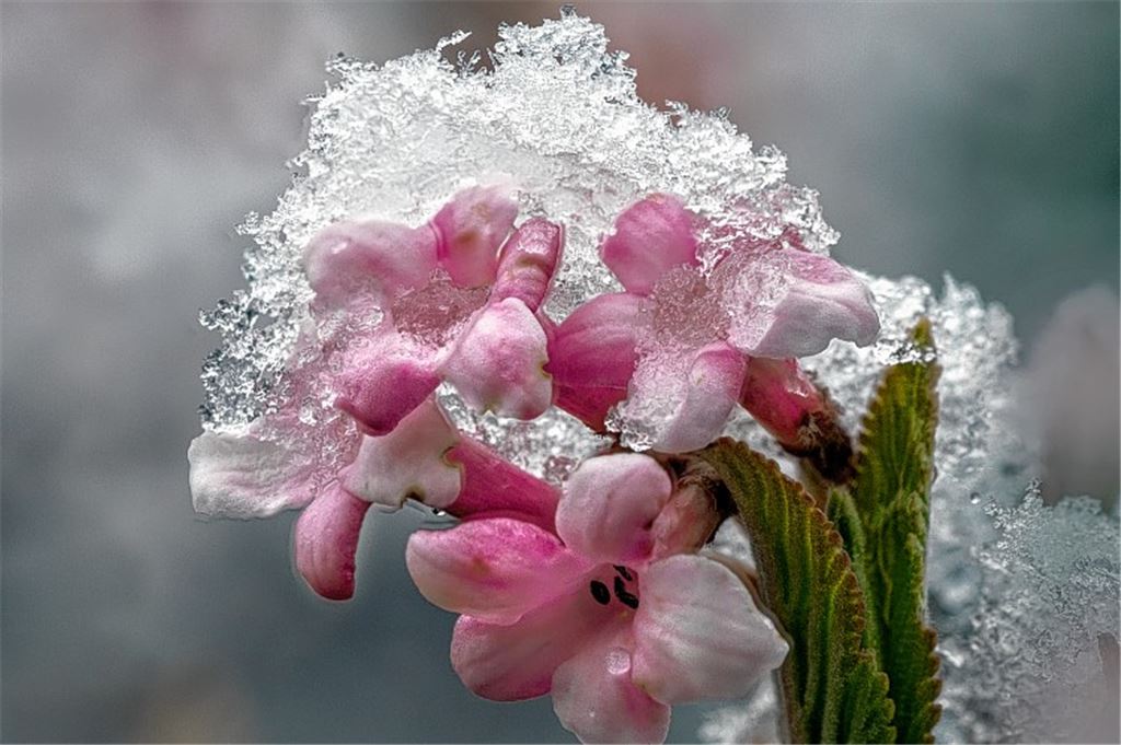 Winterzeit