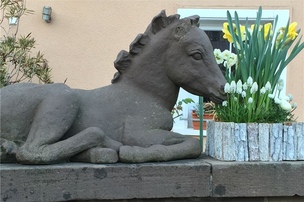 Frühlingsgefühle