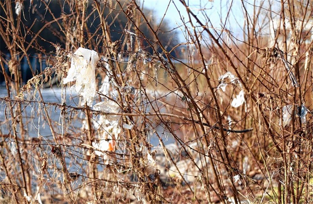 Hochwasser hinterlässt seine Spuren