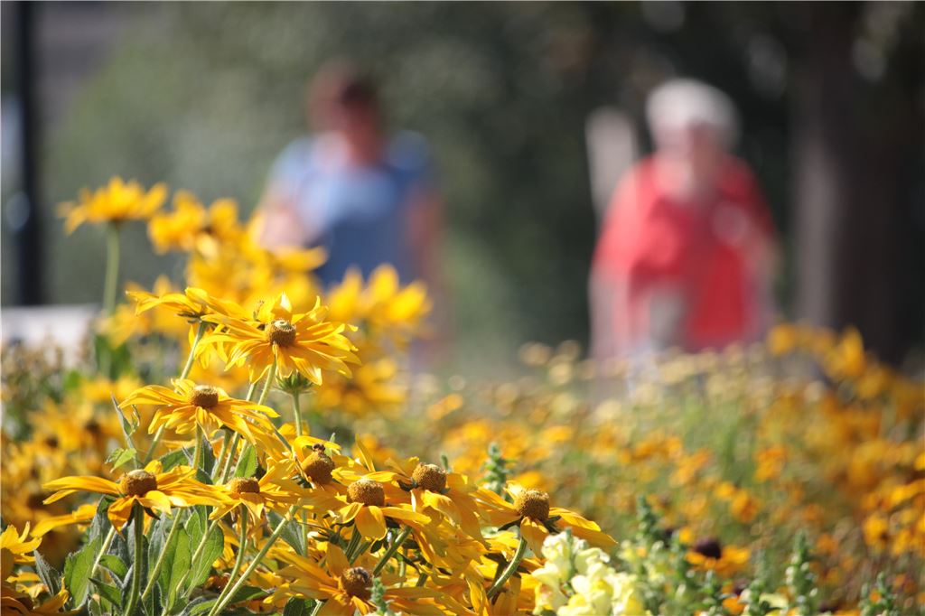 910_0008_96373_lh_Gartenschau_Waldenser_und_Hugenotten_9