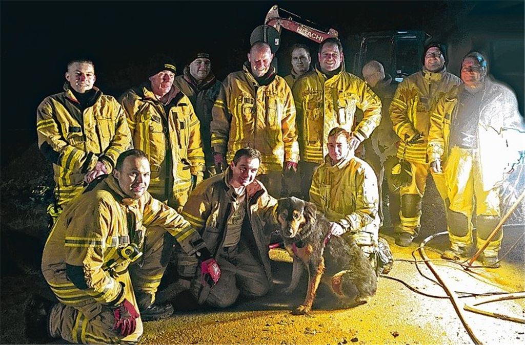 Tierisch gute Rettungsaktionen