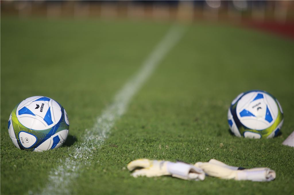 lh 08 Mühlacker Training (9)