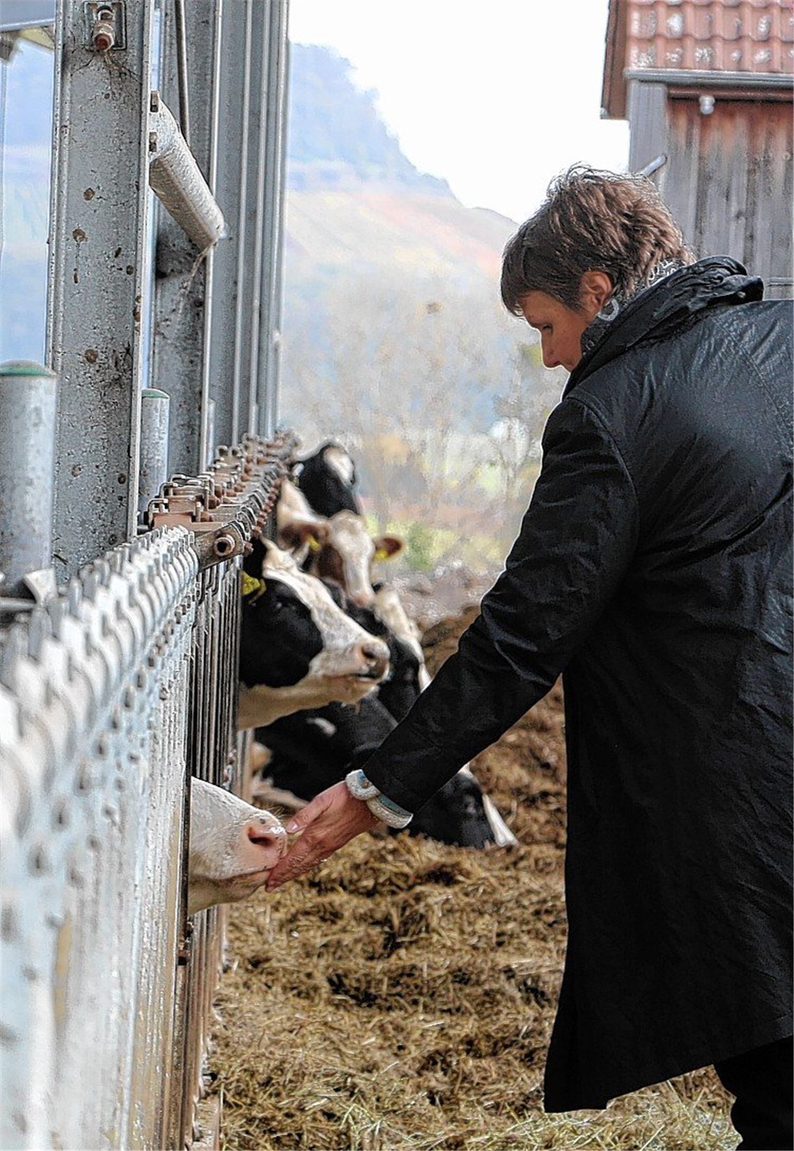 Tierwohl steht an erster Stelle