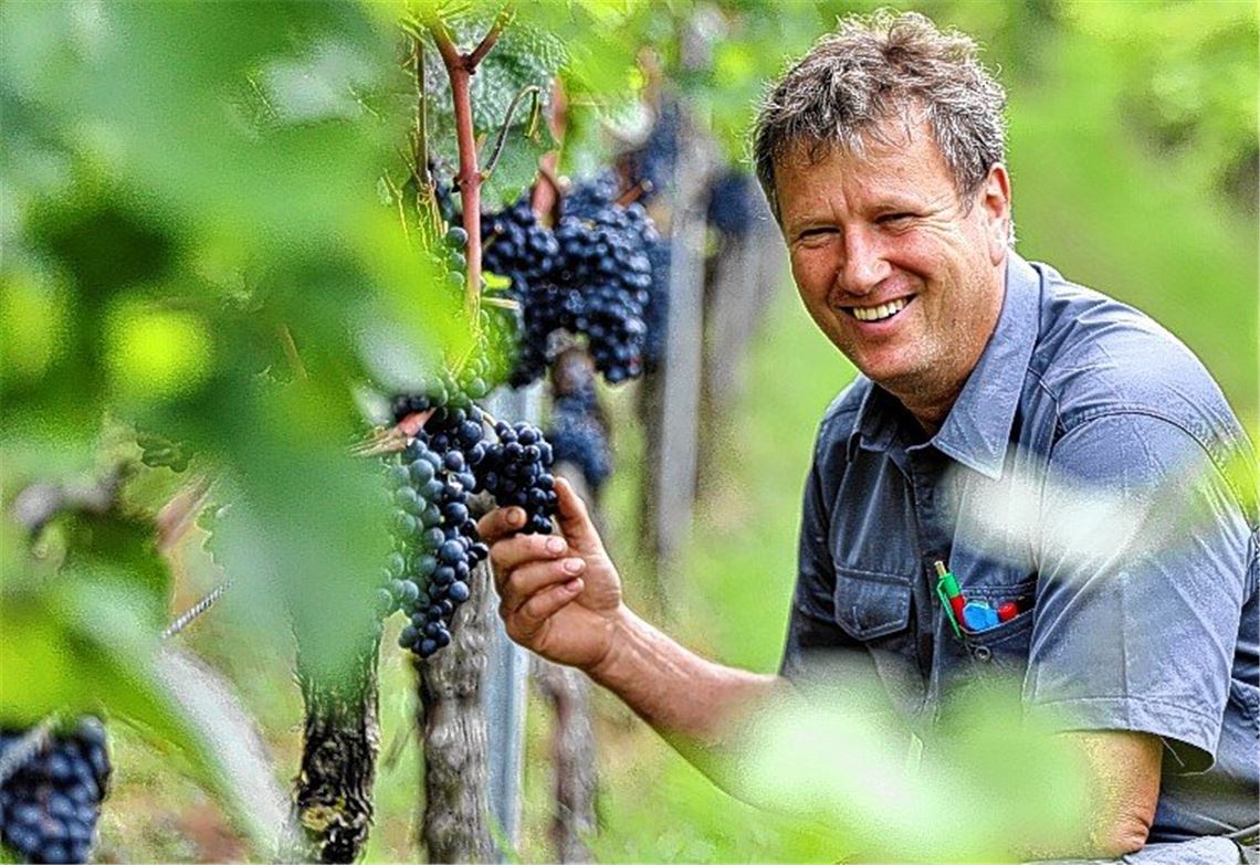 Bauern sehen sich als bedrohte Art