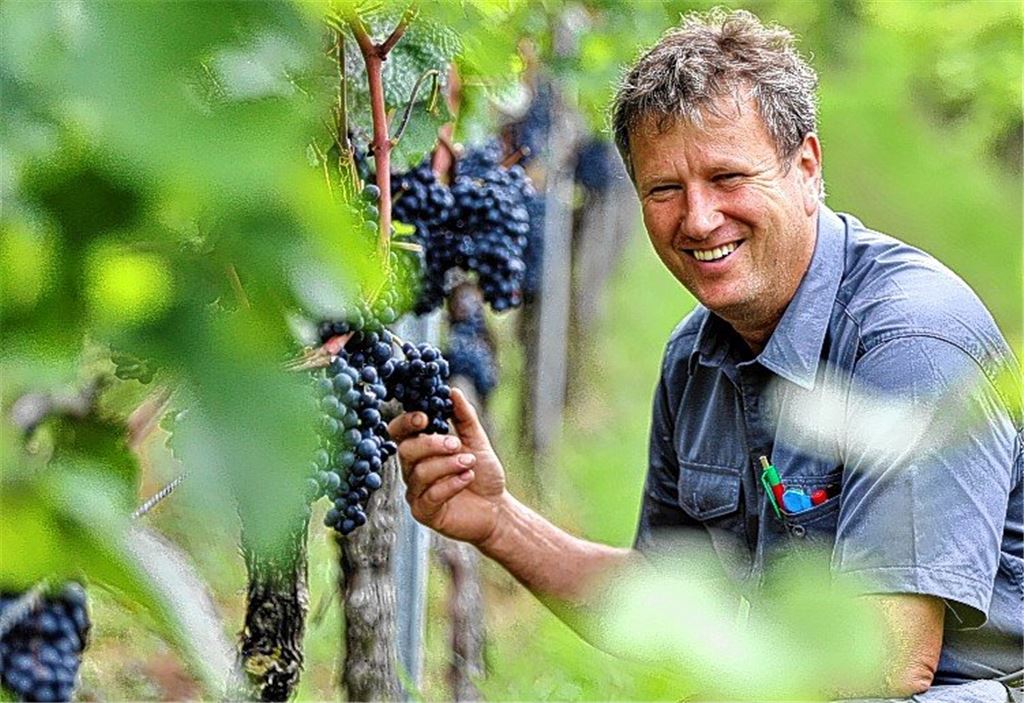 Bauern sehen sich als bedrohte Art