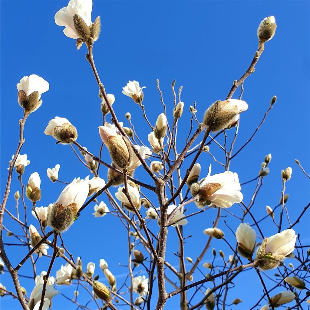 Frühlingsgefühle