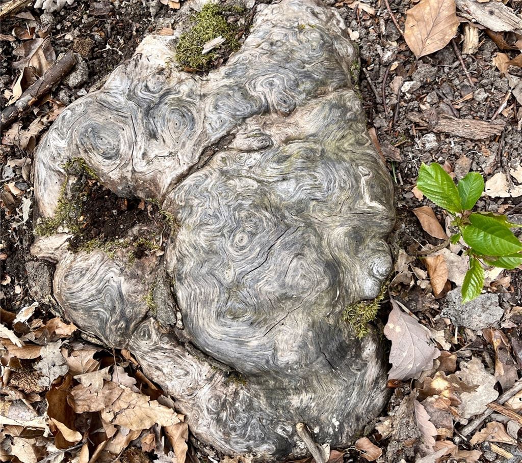 Frühlingsgefühle