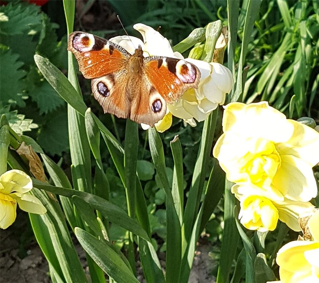Frühlingsgefühle