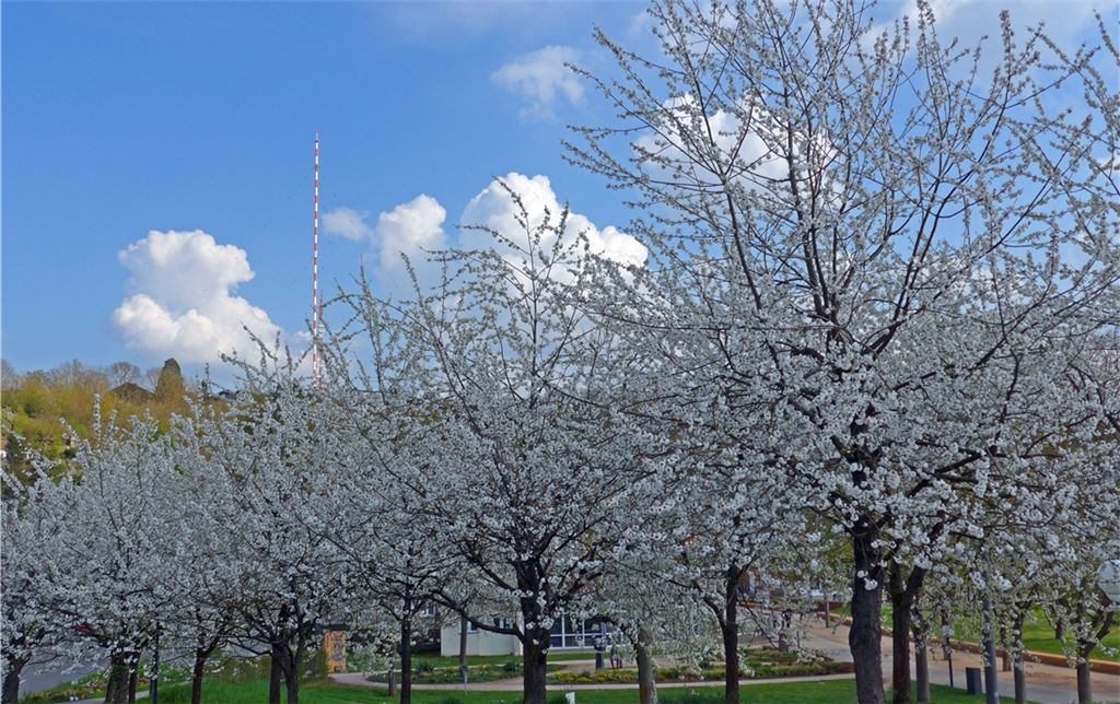 Frühlingsgefühle