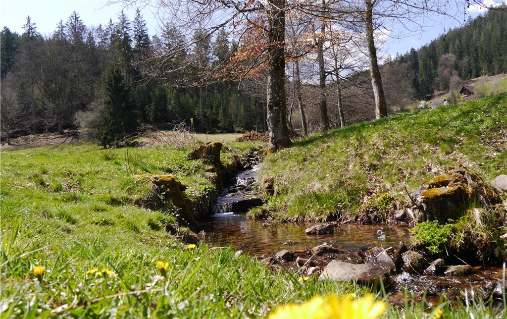 Frühlingsgefühle