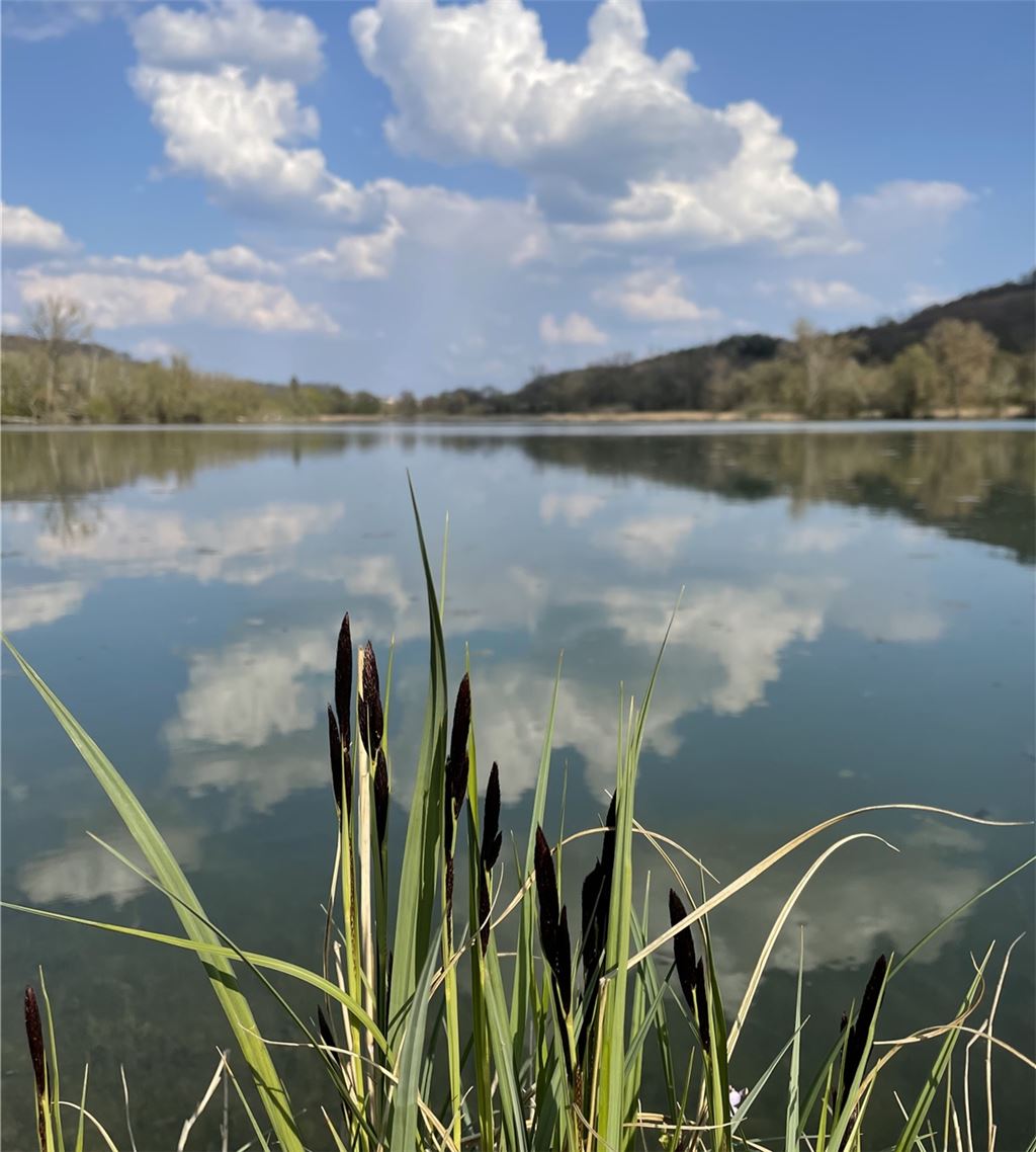 Frühlingsgefühle