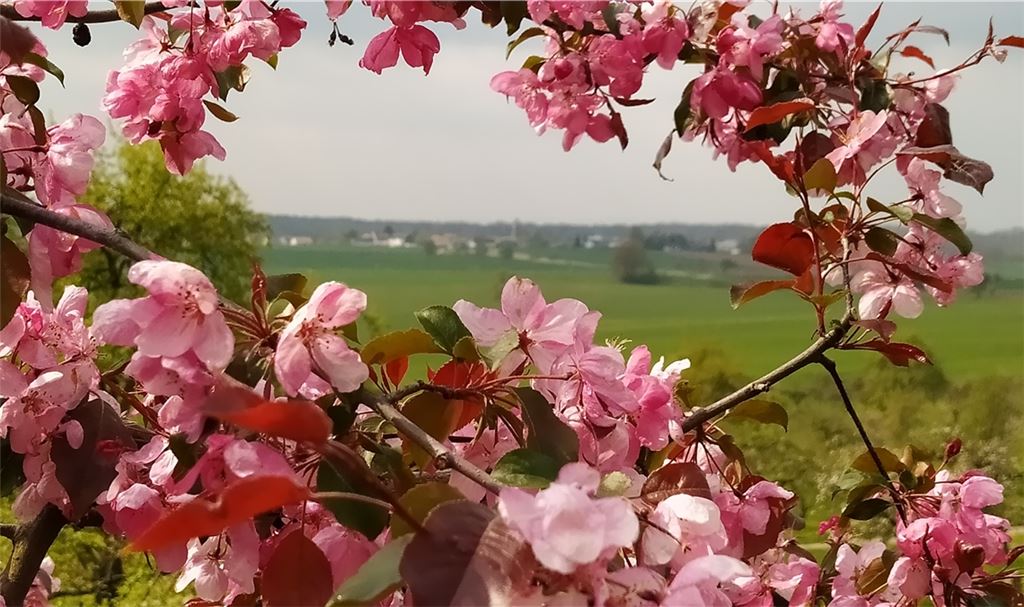 Frühlingsgefühle