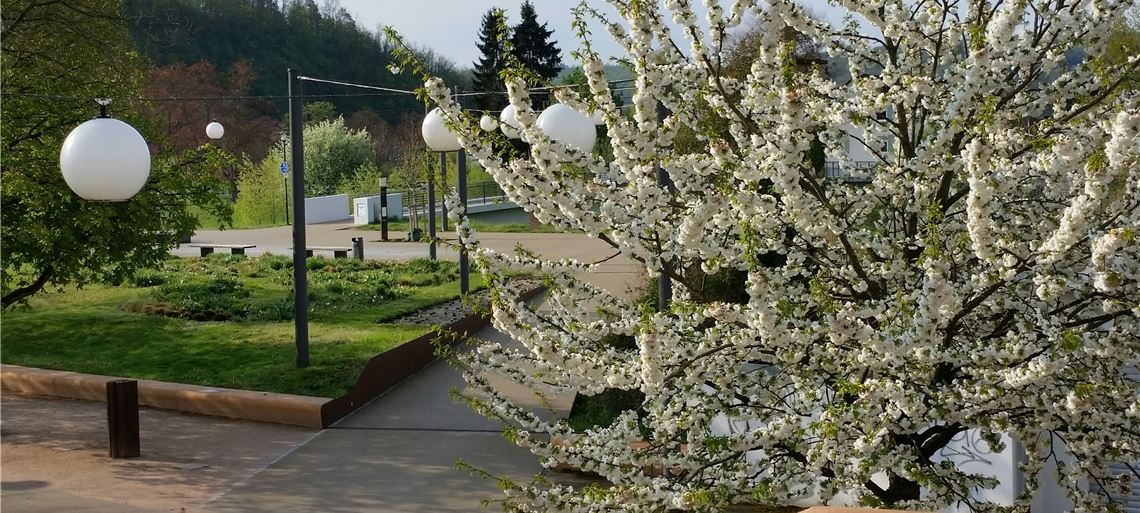 Frühlingsgefühle