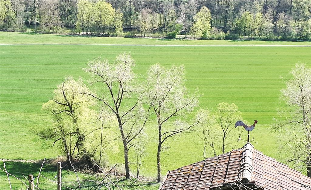 Frühlingsgefühle