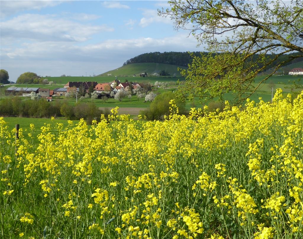 Frühlingsgefühle
