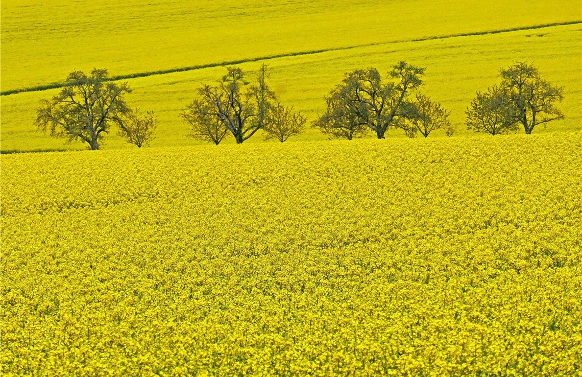 Frühlingsgefühle