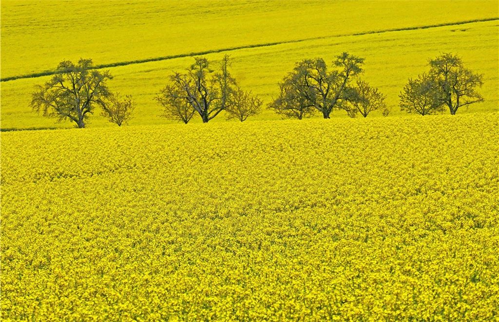 Frühlingsgefühle
