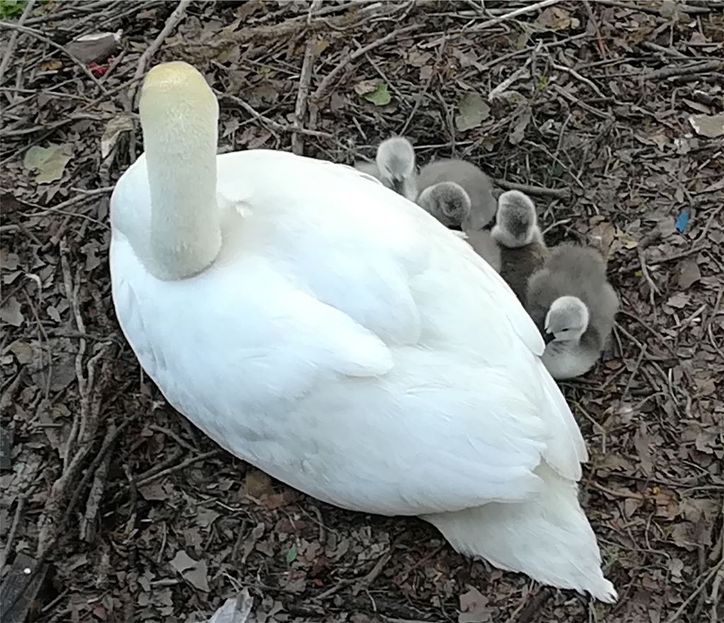 Frühlingsgefühle