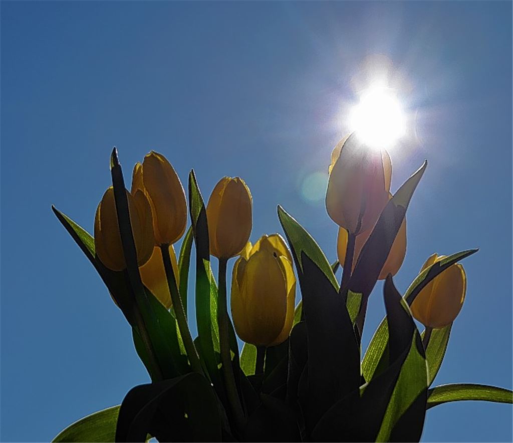 Frühlingsgefühle