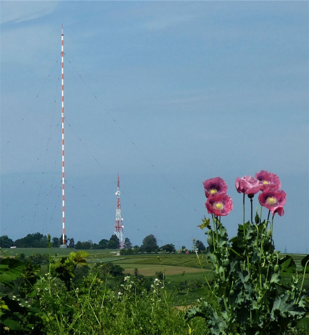 Sommerzeit