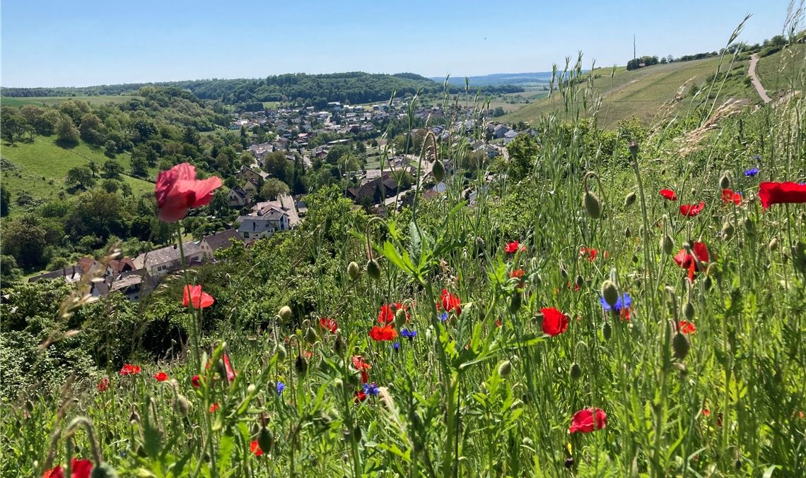 Sommerzeit Sommerzeit