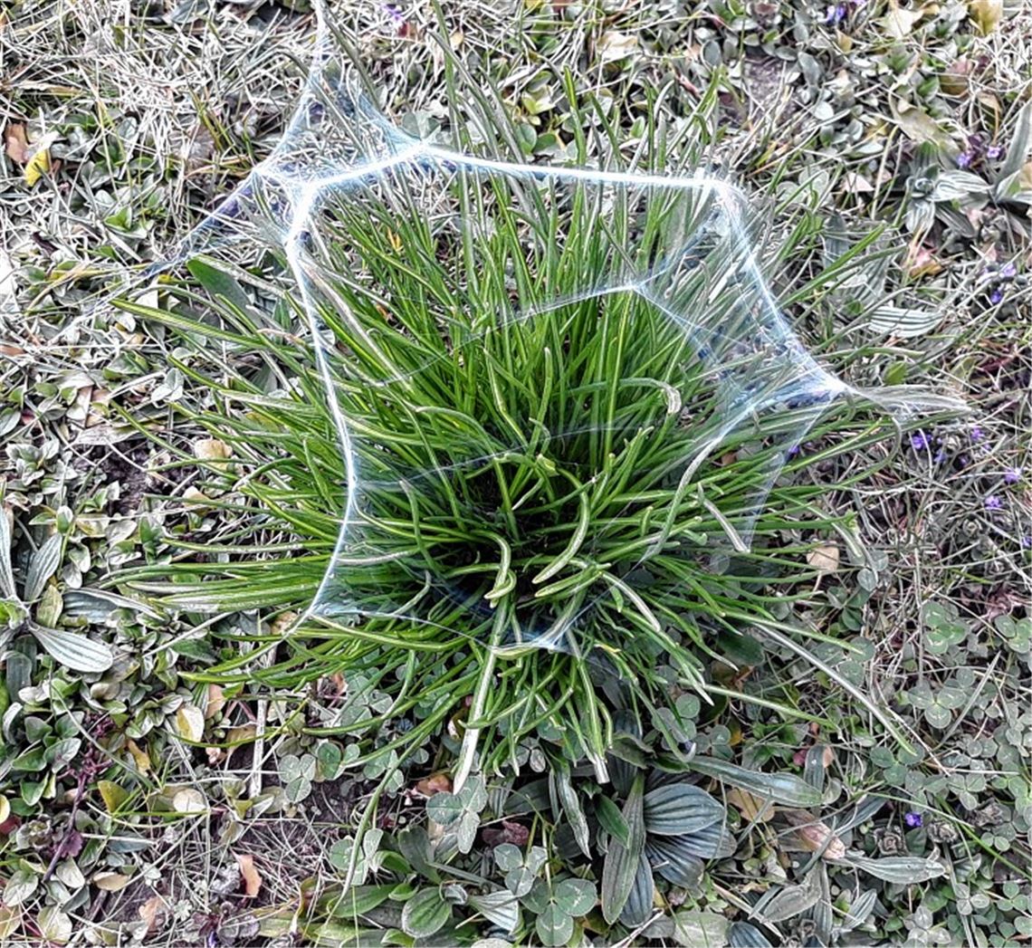 Frühlingsgefühle