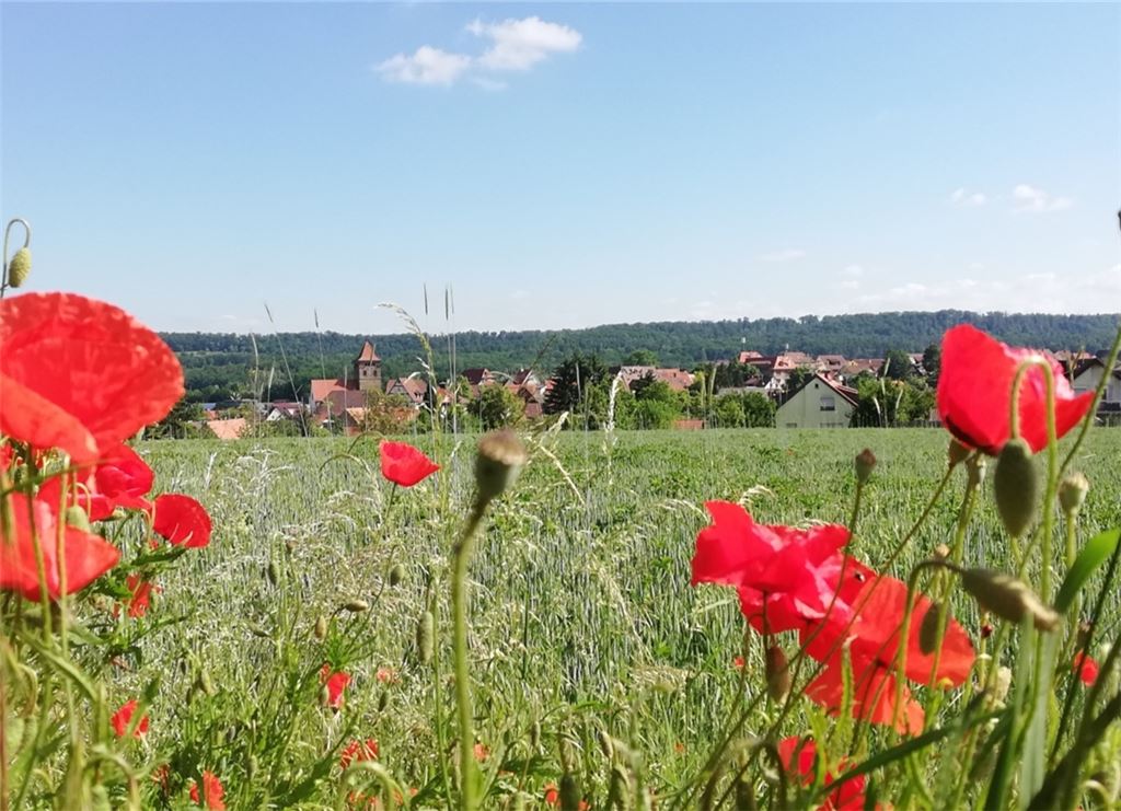 Sommerzeit