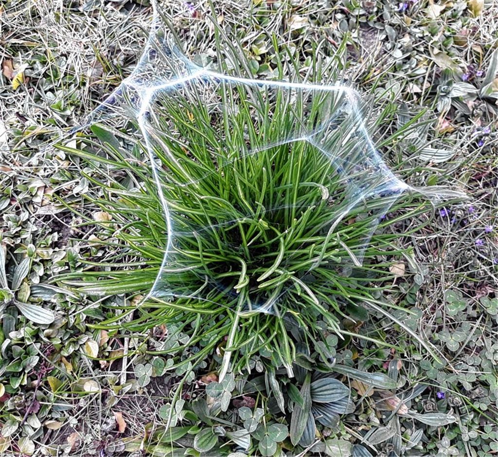 Frühlingsgefühle