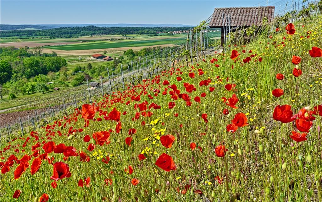 Sommerzeit