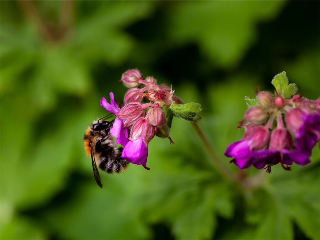 Sommerzeit