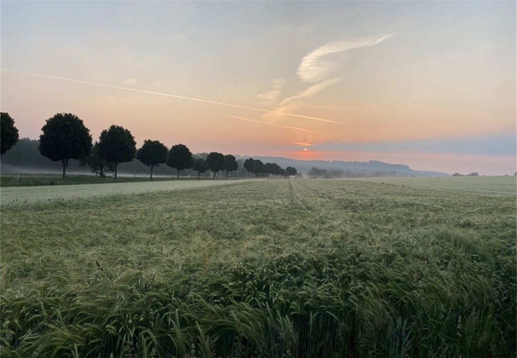 Sommerzeit