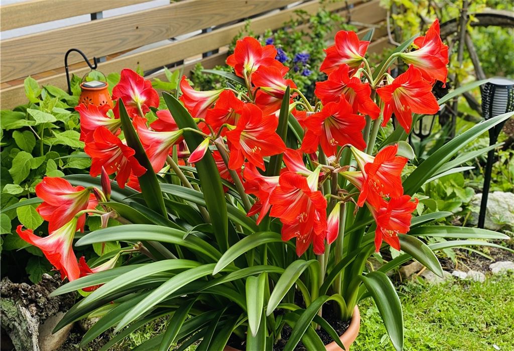 Sommerzeit