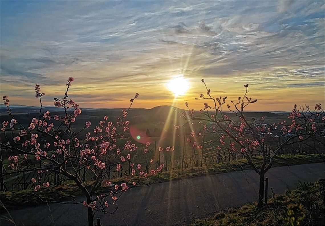 Frühlingsgefühle