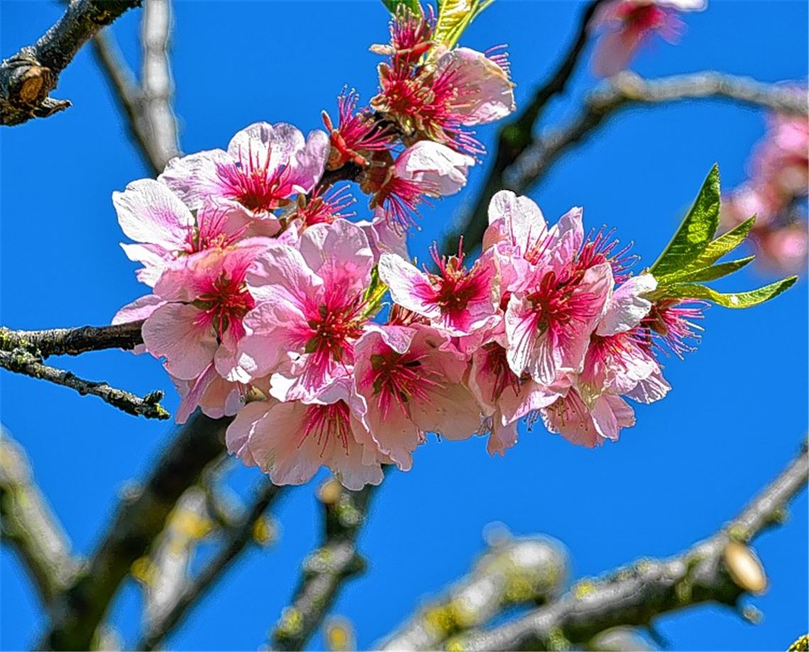 Frühlingsgefühle