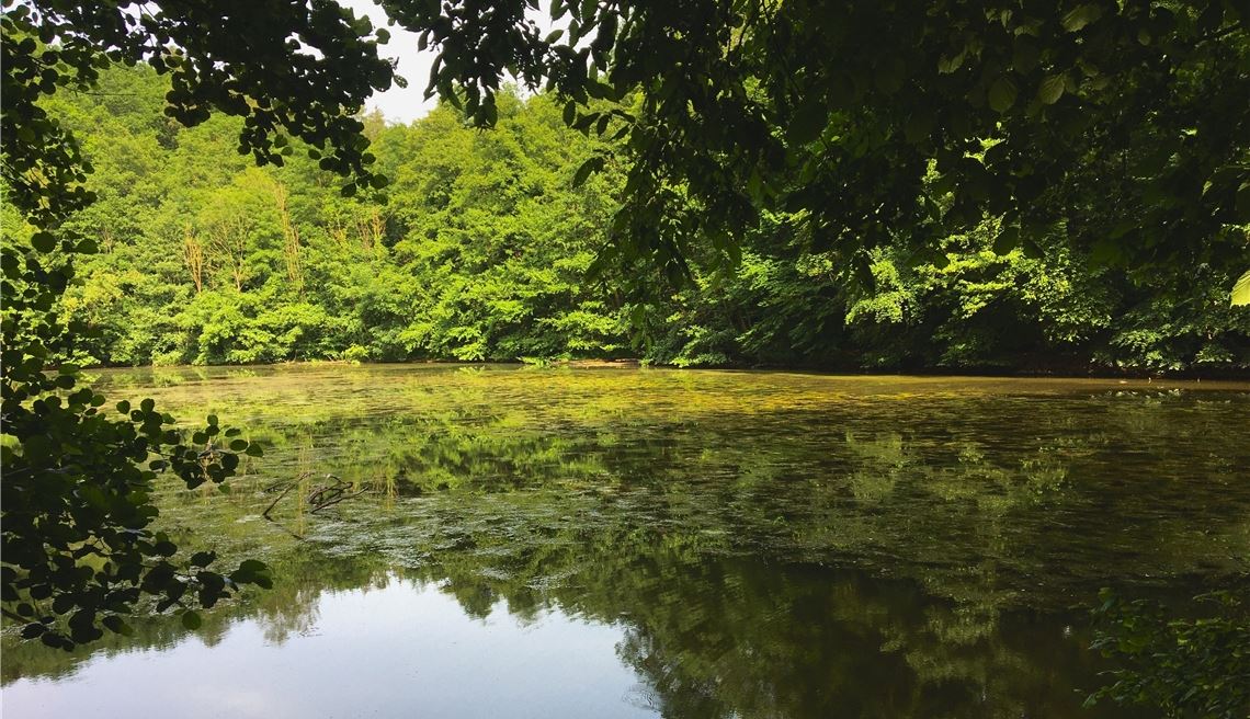 Sommerzeit Sommerzeit