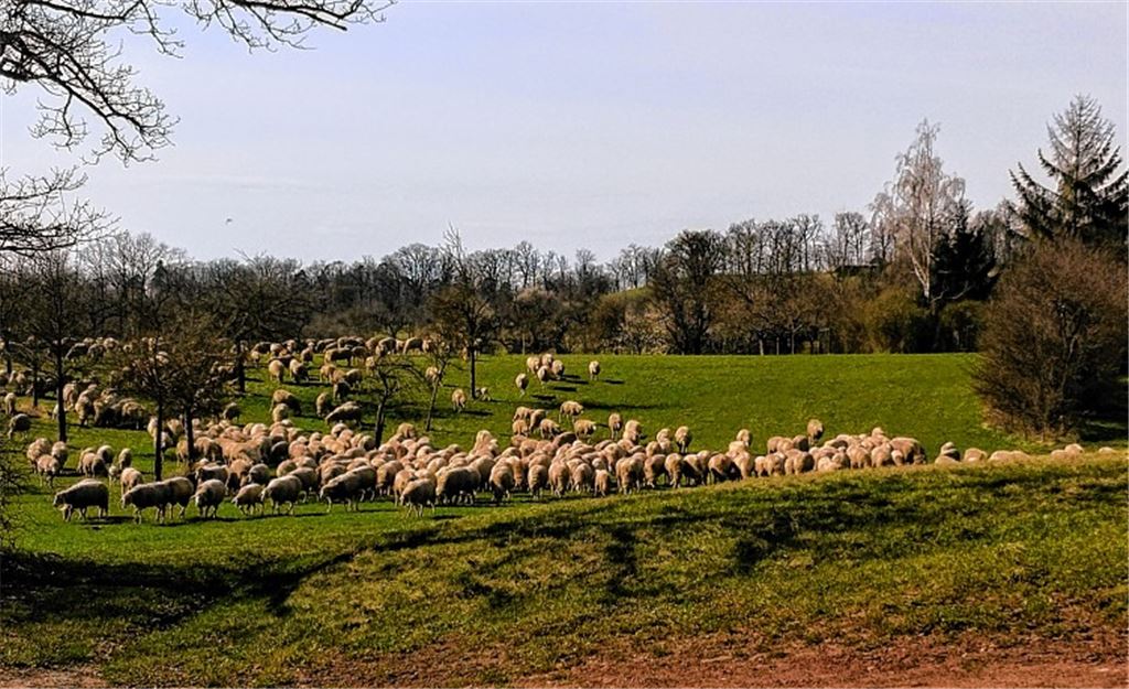 Frühlingsgefühle