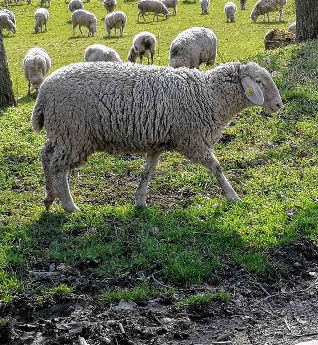 Frühlingsgefühle