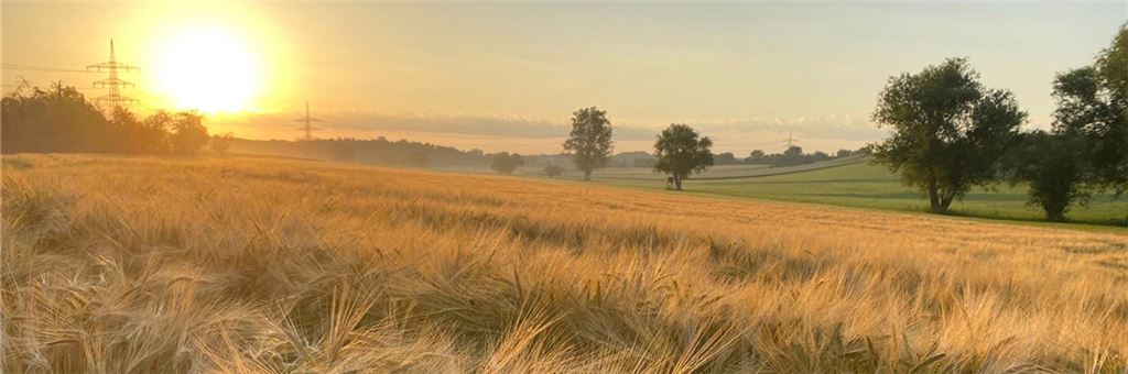 Sommerzeit