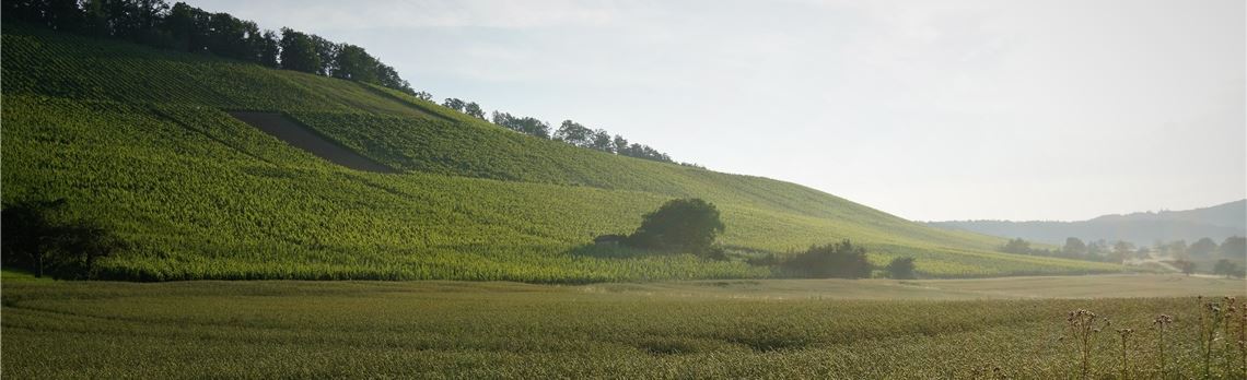 Sommerzeit