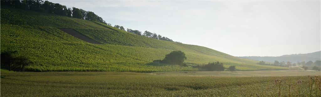 Sommerzeit