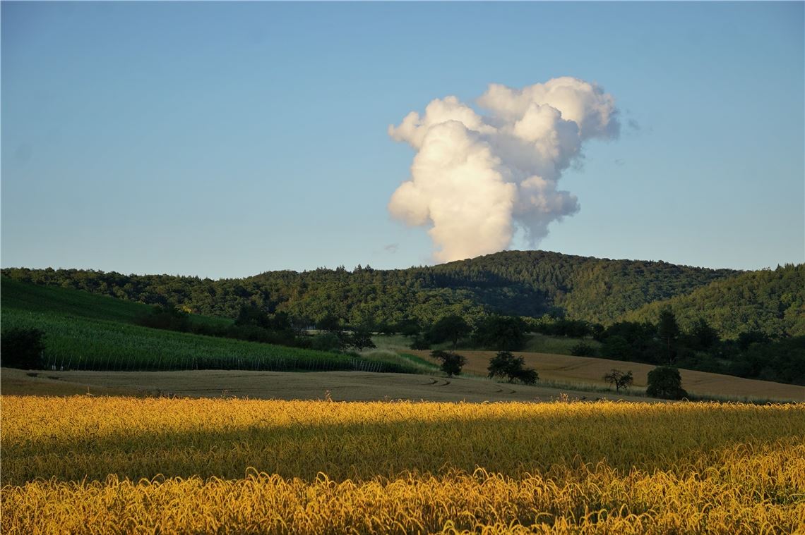 Sommerzeit
