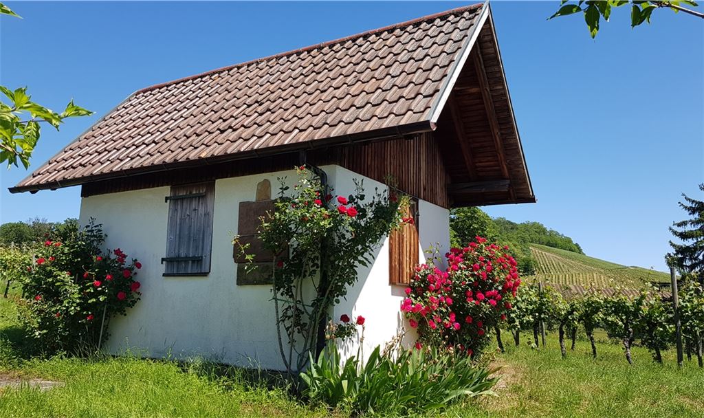 Sommerzeit