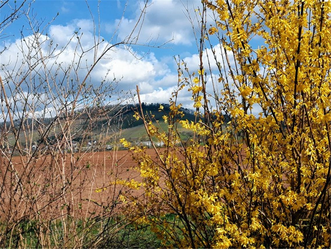 Frühlingsgefühle