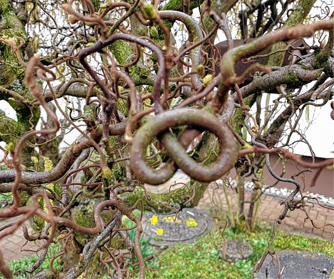 Frühlingsgefühle
