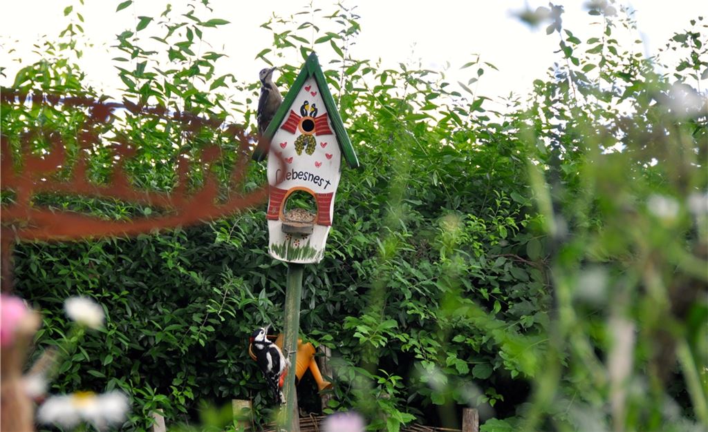 Sommerzeit