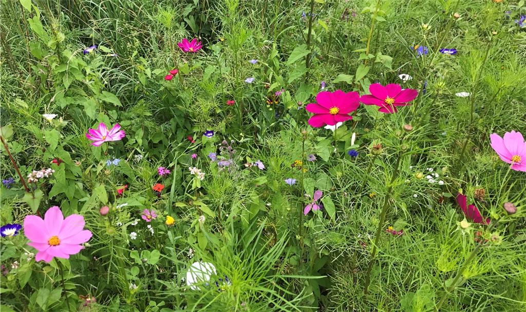 Sommerzeit