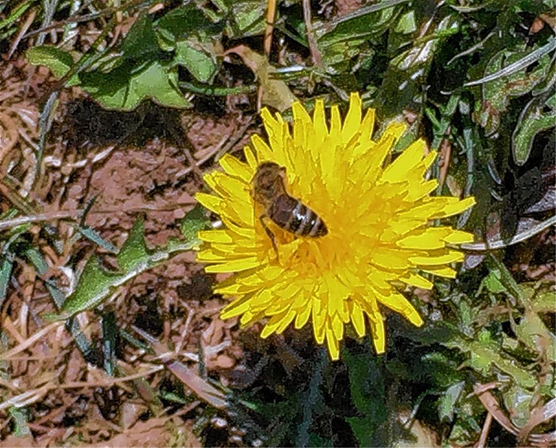 Frühlingsgefühle