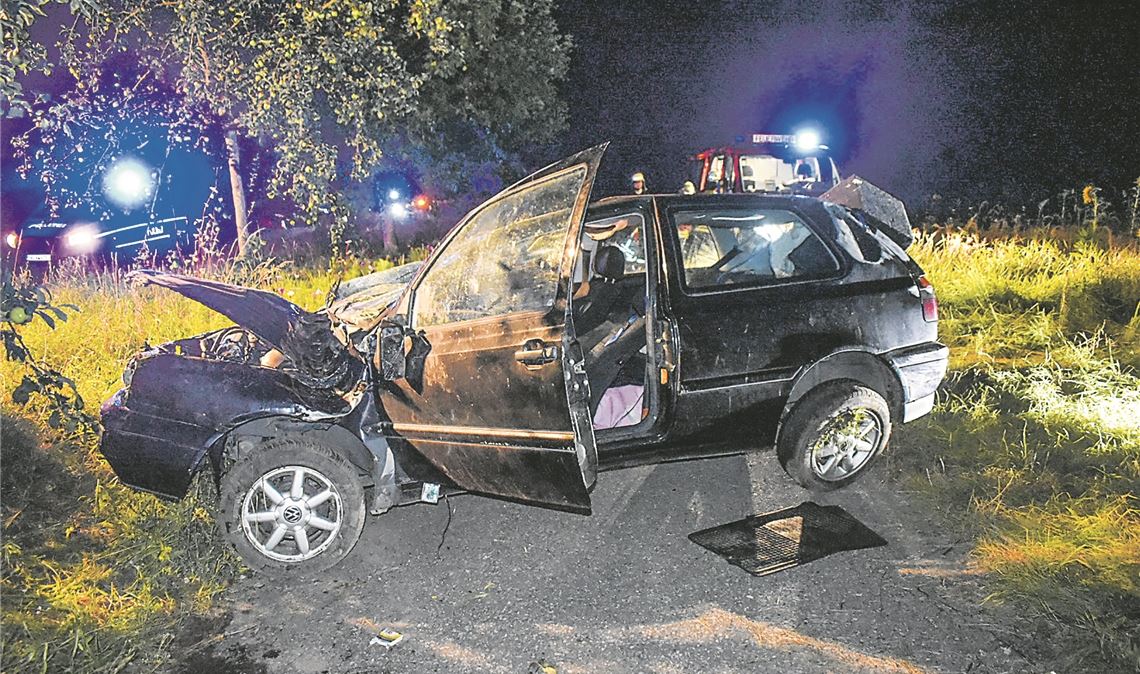 VW Golf fällt Obstbaum