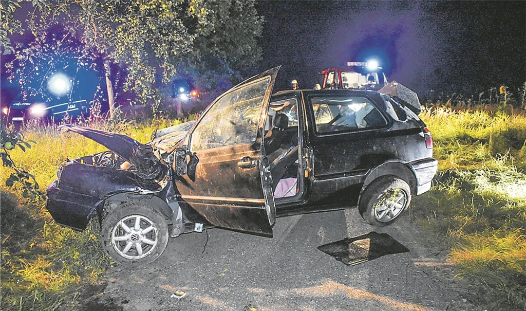 VW Golf fällt Obstbaum